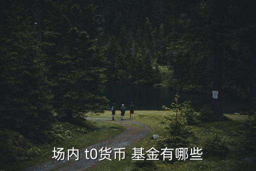 t0基金手續(xù)費,t0交易的ETF手續(xù)費