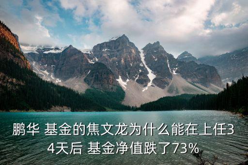 鵬華 基金的焦文龍為什么能在上任34天后 基金凈值跌了73%