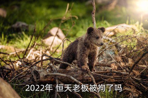 2022年 恒天老板被拘了嗎