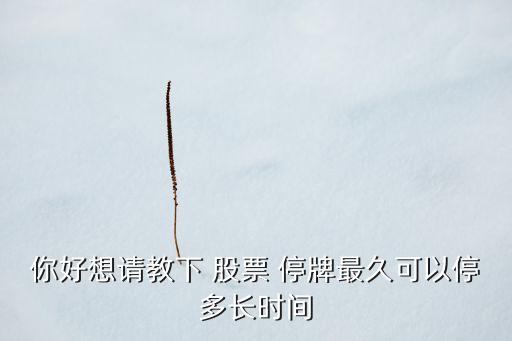 你好想請(qǐng)教下 股票 停牌最久可以停多長(zhǎng)時(shí)間