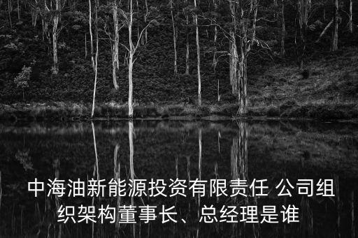  中海油新能源投資有限責(zé)任 公司組織架構(gòu)董事長(zhǎng)、總經(jīng)理是誰