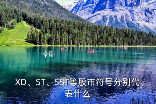 XD、ST、SST等股市符號分別代表什么