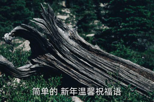 保險(xiǎn)公司新年寄語