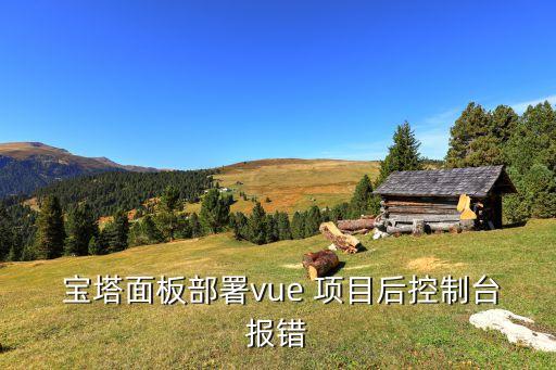  寶塔面板部署vue 項(xiàng)目后控制臺(tái)報(bào)錯(cuò)