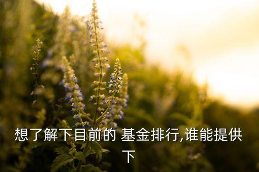 想了解下目前的 基金排行,誰能提供下