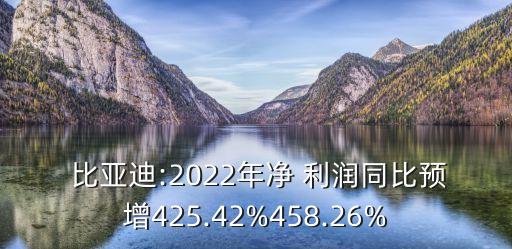  比亞迪:2022年凈 利潤同比預(yù)增425.42%458.26%