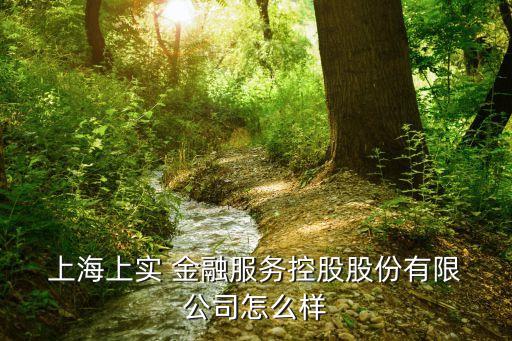  上海上實(shí) 金融服務(wù)控股股份有限 公司怎么樣