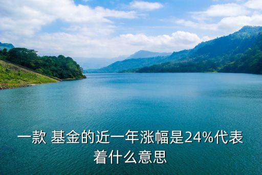 一款 基金的近一年漲幅是24%代表著什么意思