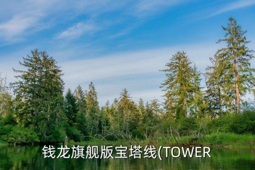 股票中的tower指標(biāo),Tower半導(dǎo)體股票