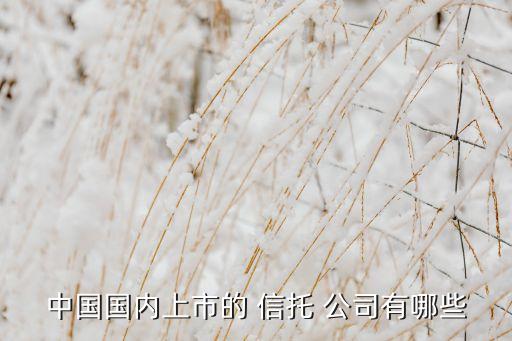 中國國內(nèi)上市的 信托 公司有哪些