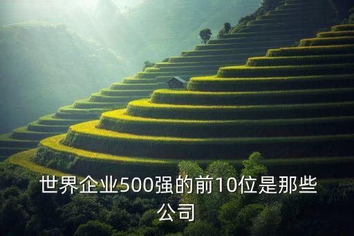  世界企業(yè)500強(qiáng)的前10位是那些公司