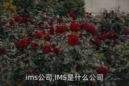 美國ims公司,IMS是什么公司