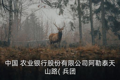 農(nóng)業(yè)銀行新疆兵團(tuán)分行領(lǐng)導(dǎo)成員