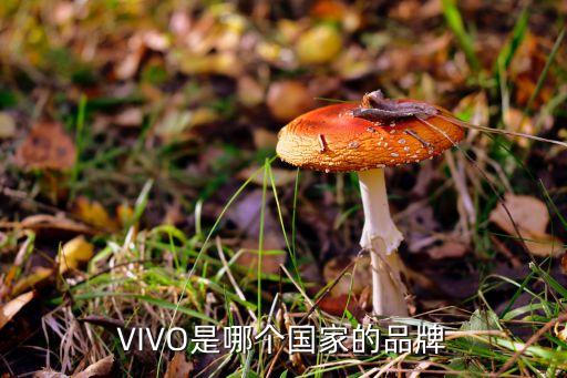 vivo是中國的嗎,OPPO和vivo是中國的嗎