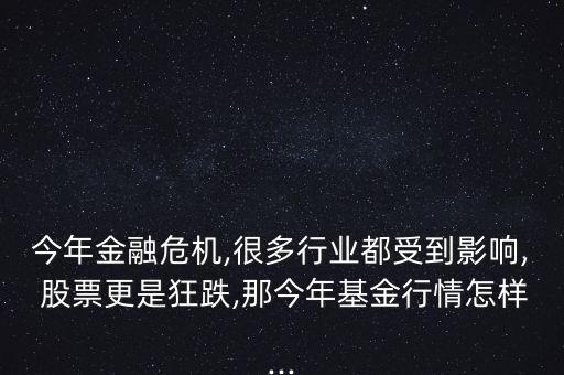 今年金融危機,很多行業(yè)都受到影響, 股票更是狂跌,那今年基金行情怎樣...