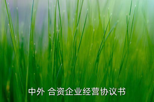 中外 合資企業(yè)經(jīng)營協(xié)議書