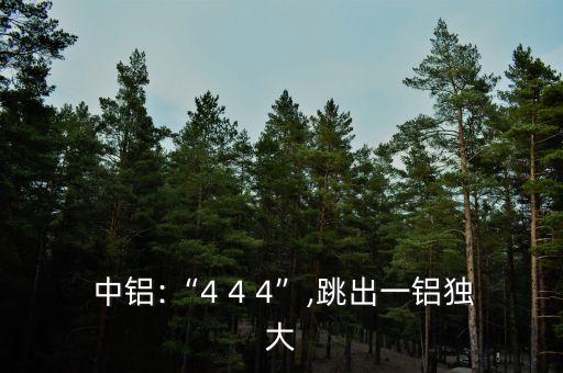  中鋁:“4 4 4”,跳出一鋁獨大