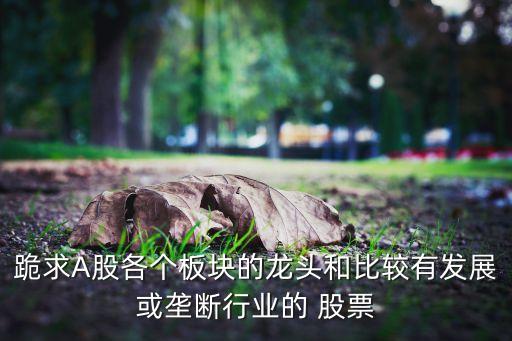 跪求A股各個板塊的龍頭和比較有發(fā)展或壟斷行業(yè)的 股票