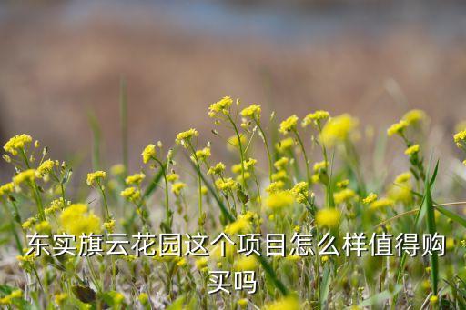  東實(shí)旗云花園這個(gè)項(xiàng)目怎么樣值得購(gòu)買(mǎi)嗎