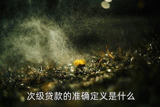  次級貸款的準(zhǔn)確定義是什么