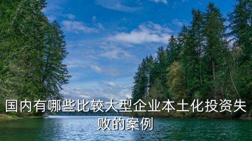 國(guó)內(nèi)有哪些比較大型企業(yè)本土化投資失敗的案例