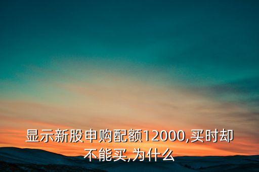 顯示新股申購(gòu)配額12000,買(mǎi)時(shí)卻不能買(mǎi),為什么