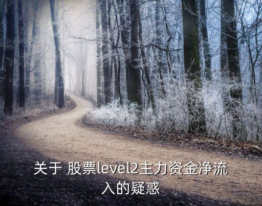 關于 股票level2主力資金凈流入的疑惑