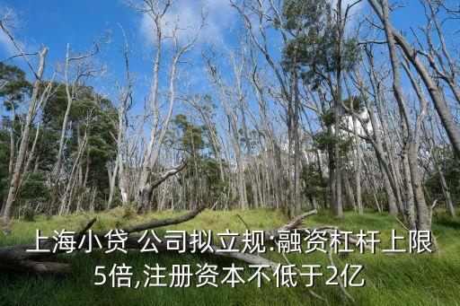 上海小貸 公司擬立規(guī):融資杠桿上限5倍,注冊資本不低于2億