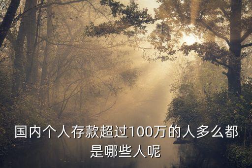 國(guó)內(nèi)個(gè)人存款超過100萬的人多么都是哪些人呢