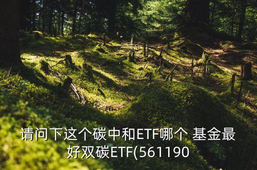 請問下這個碳中和ETF哪個 基金最好雙碳ETF(561190