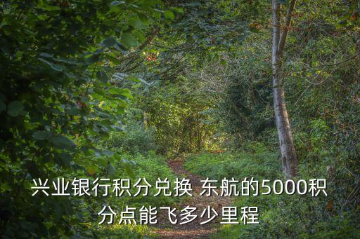 興業(yè)銀行積分兌換 東航的5000積分點能飛多少里程