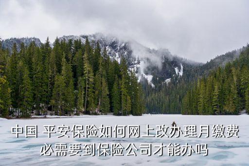 中國(guó) 平安保險(xiǎn)如何網(wǎng)上改辦理月繳費(fèi)必需要到保險(xiǎn)公司才能辦嗎