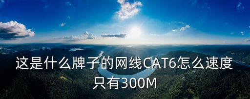 這是什么牌子的網(wǎng)線CAT6怎么速度只有300M