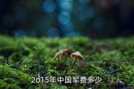 2o15年中國軍費(fèi)多少