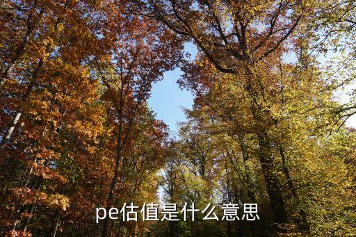 pe估值是什么意思