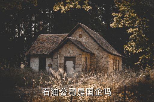 石油公司是國企嗎