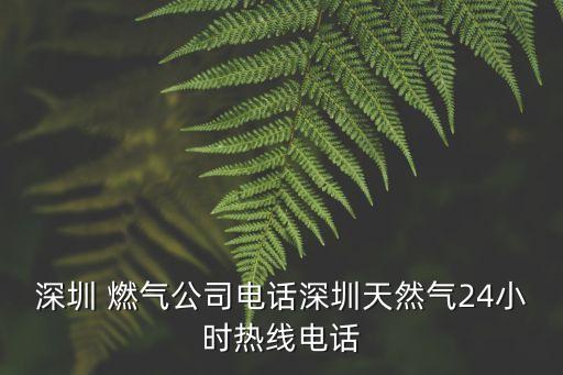 深圳 燃?xì)夤倦娫?huà)深圳天然氣24小時(shí)熱線(xiàn)電話(huà)