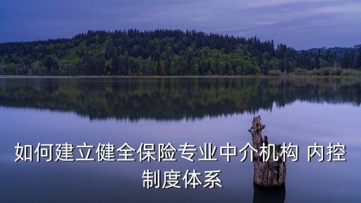 如何建立健全保險專業(yè)中介機構 內控 制度體系