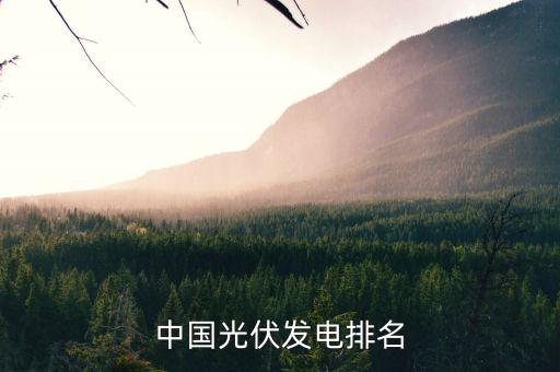 中國瑞風(fēng)新能源控股有限公司,瑞風(fēng)新能源控股有限公司投資平臺