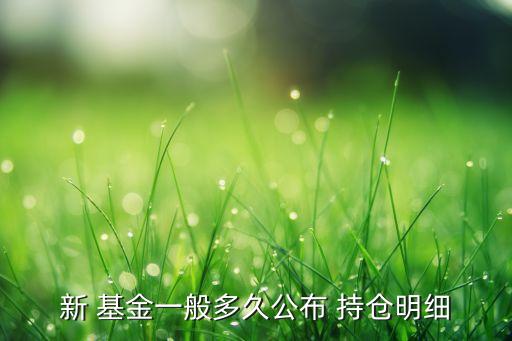 新 基金一般多久公布 持倉明細(xì)