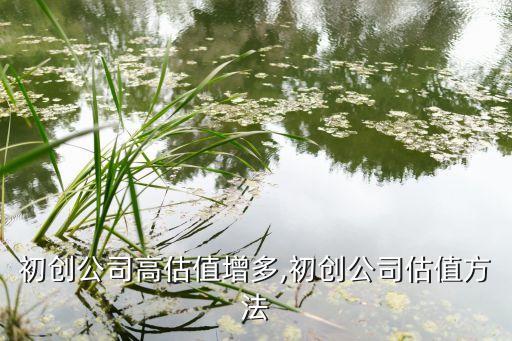 硅谷初創(chuàng)公司高估值增多,初創(chuàng)公司估值方法