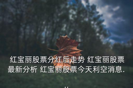 紅寶麗集團股份有限公司怎么樣,南京紅寶麗股份有限公司