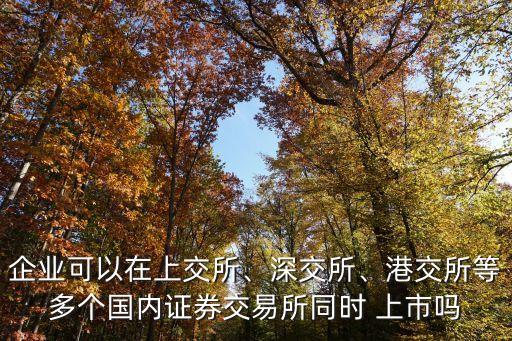 企業(yè)可以在上交所、深交所、港交所等多個(gè)國(guó)內(nèi)證券交易所同時(shí) 上市嗎