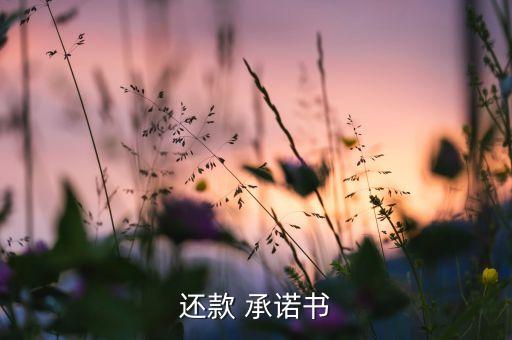 銀行轉(zhuǎn)貸承諾書,銀行辦理轉(zhuǎn)貸手續(xù)怎么辦理