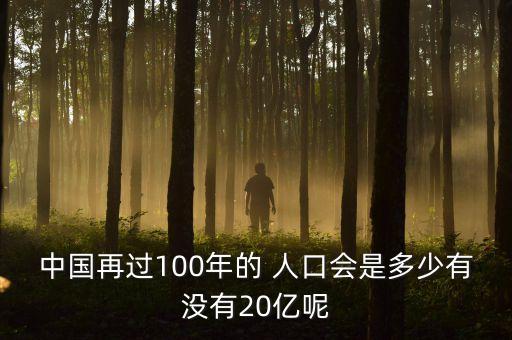 中國(guó)再過(guò)100年的 人口會(huì)是多少有沒(méi)有20億呢