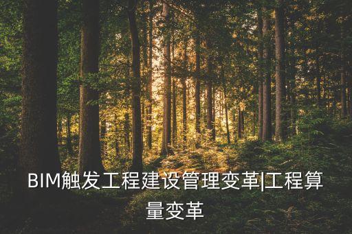 BIM觸發(fā)工程建設管理變革|工程算量變革