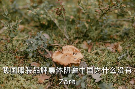 我國(guó)服裝品牌集體陰霾中國(guó)為什么沒有Zara