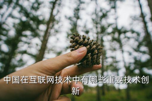 中國在互聯(lián)網技術中有哪些重要技術創(chuàng)新