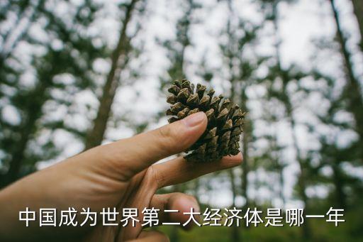 中國成為世界第二大經(jīng)濟體是哪一年