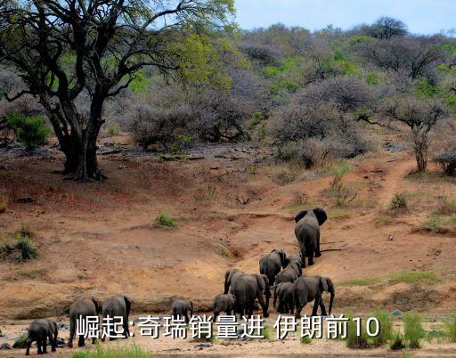 崛起:奇瑞銷量進(jìn) 伊朗前10